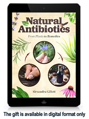 Natural Antibiotics - From Plants to Remedies
